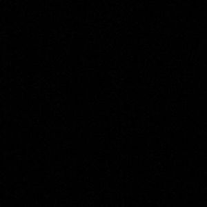 Meet your Posher, Dalila